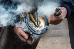 Farrier at work