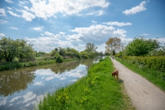 Hickling-12-May-3