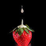 Commended - Colour Round Six