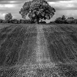 Commended - Monochrome Round Three