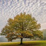 First Place - Colour Round One