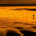 Commended - Themes Round Two