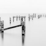 Commended - Mono Round Three