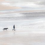 Commended - Colour Round Six