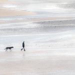 Commended - Colour Round Six