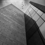 Second Place Monochrome - Round Five