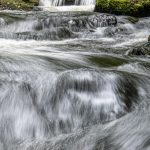 First Place - Theme of Movement - Round Three Prints