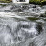 First Place - Theme of Movement - Round Three Prints