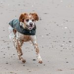 Second Place Colour - Round Five