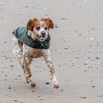 Second Place Colour - Round Five