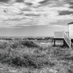 Second Place - Monochrome - Round Three Prints