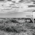 Second Place - Monochrome - Round Three Prints